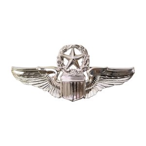 Air Force Badge: Command Pilot, regulation size