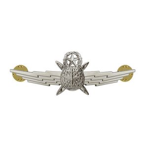 Air Force Badge: Cyberspace Operator: Master, miniature