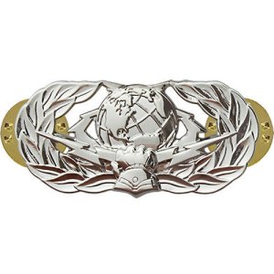 Air Force Badge: Cyberspace Support: Basic, midsize