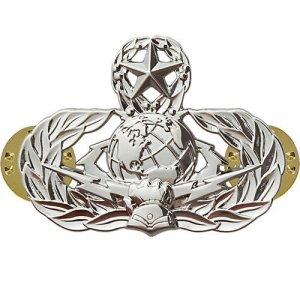 Air Force Badge: Cyberspace Support: Master, midsize