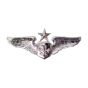 Air Force Badge: Flight Nurse: Senior, miniature