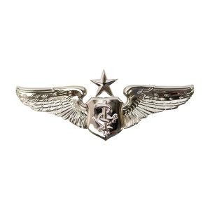 Air Force Badge: Flight Nurse: Senior, regulation size