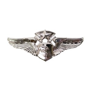 Air Force Badge: Flight Surgeon: Chief, regulation size