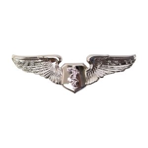 Air Force Badge: Flight Surgeon, miniature