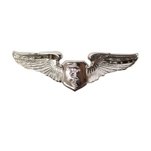 Air Force Badge: Flight Surgeon, regulation size