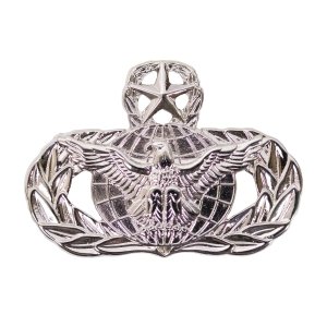 Air Force Badge: Force Protection: Master, midsize