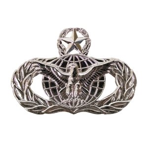 Air Force Badge: Force Protection: Master, regulation size