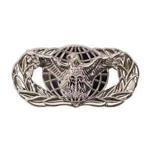 Air Force Badge: Force Protection, midsize