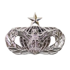 Air Force Badge: Force Protection: Senior, midsize