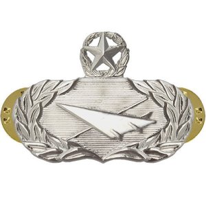 Air Force Badge: Historian: Master, midsize