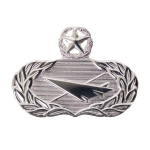 Air Force Badge: Historian: Master, regulation size