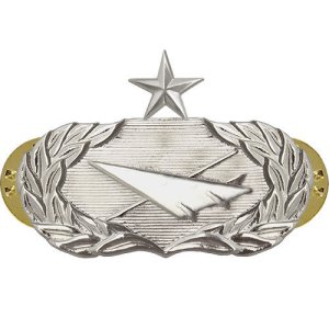 Air Force Badge: Historian: Senior, midsize