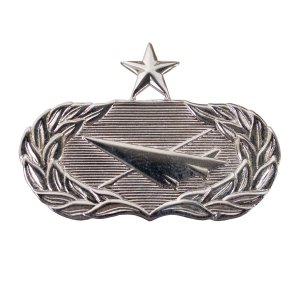 Air Force Badge: Historian: Senior, regulation size
