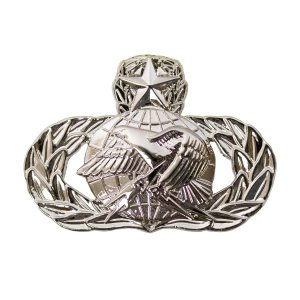 Air Force Badge: Logistics: Master, midsize