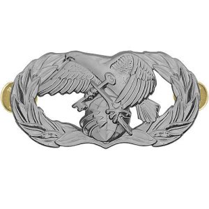 Air Force Badge: Logistics Readiness, regulation size