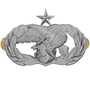 Air Force Badge: Logistics Readiness: Senior, midsize