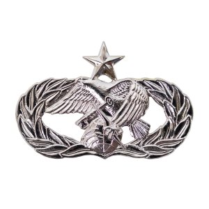 Air Force Badge: Logistics Readiness: Senior, regulation size