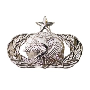 Air Force Badge: Logistics: Senior, midsize