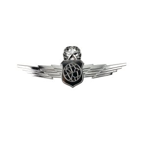 Air Force Badge: Master Weather & Environmental Science, regulation size