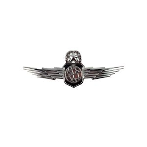 Air Force Badge: Master Weather & Environmental Sciences, midsize