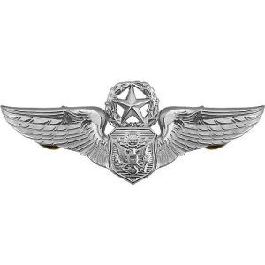 Air Force Badge: Officer Aircrew: Master, regulation size