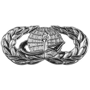 Air Force Badge: Officer Force Support, midsize