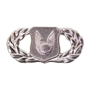 Air Force Badge: Operations Support, midsize