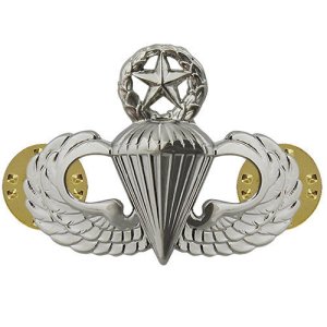 Air Force Badge: Parachutist: Master, midsize