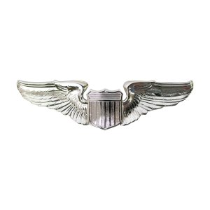 Air Force Badge: Pilot, regulation size