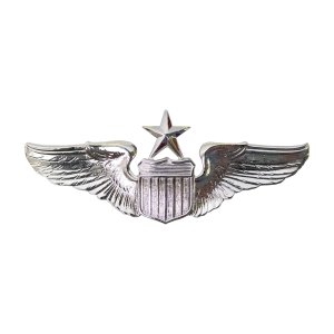 Air Force Badge: Pilot: Senior, miniature