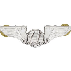Air Force Badge: Remotely Piloted Aircraft Sensor Operator Basic, Regulation size