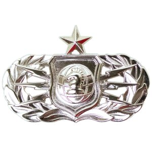 Air Force Badge: Senior Information Operations Officer, midsize