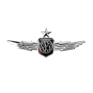 Air Force Badge: Senior Weather & Environmental Science, regulation size