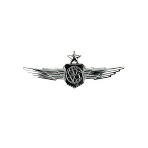 Air Force Badge: Senior Weather & Environmental Sciences, midsize