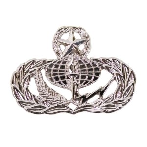 Air Force Badge: Services: Master, midsize