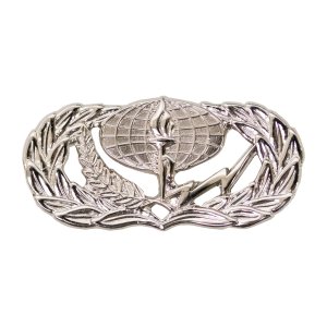 Air Force Badge: Services, midsize