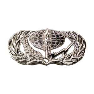 Air Force Badge: Services, regulation size