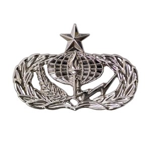 Air Force Badge: Services: Senior, midsize
