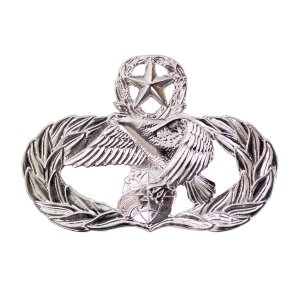 Air Force Badge: Transportation: Master, regulation size