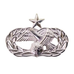 Air Force Badge: Transportation: Senior, midsize