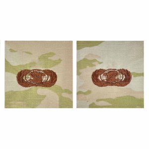 Air Force Embroidered Badge: Administration, OCP