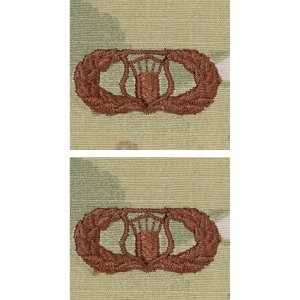 Air Force Embroidered Badge: Air Traffic Controller, OCP