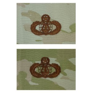 Air Force Embroidered Badge: Band: Master, embroidered on OCP