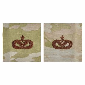 Air Force Embroidered Badge: Civil Engineer: Senior, embroidered on OCP