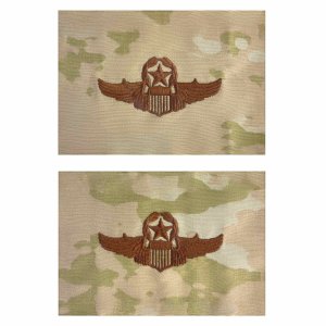 Air Force Embroidered Badge: Command Pilot, embroidered on OCP