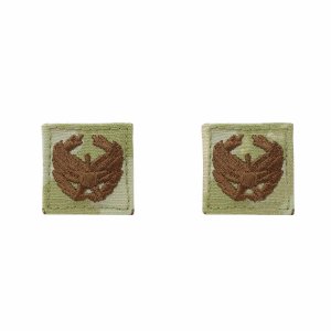 Air Force Embroidered Badge: Commander''s Badge, embroidered on OCP with hook