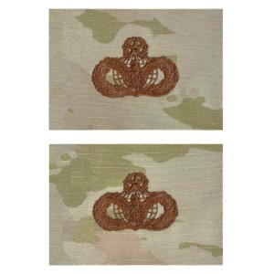 Air Force Embroidered Badge: Force Protection: Master, OCP