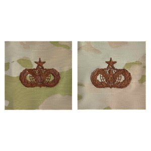 Air Force Embroidered Badge: Force Protection: Senior, embroidered on OCP