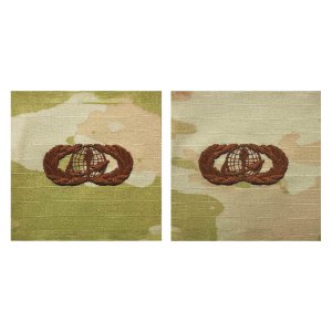 Air Force Embroidered Badge: Force Support, OCP