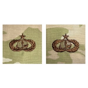 Air Force Embroidered Badge: Force Support: Senior, embroidered on OCP